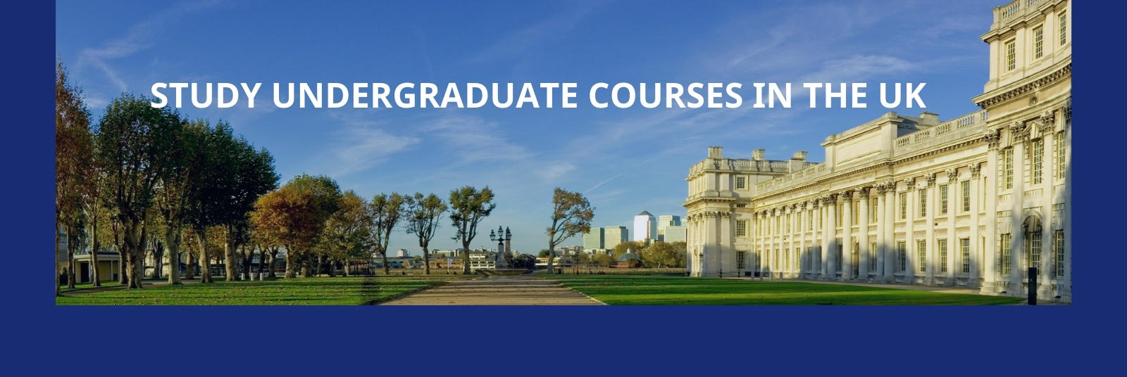 Popular undergraduate courses in the UK